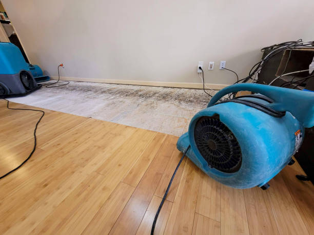 Professional Emergency Water Damage technician working in Cashion, OK